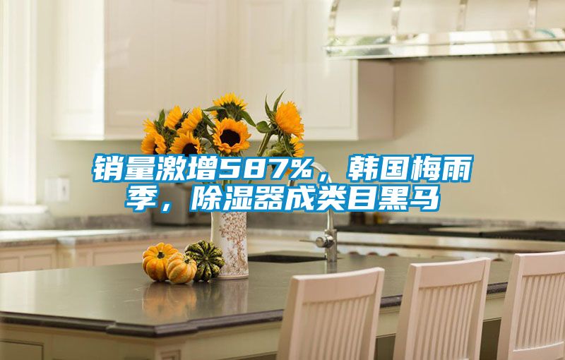 銷(xiāo)量激增587%，韓國(guó)梅雨季，除濕器成類(lèi)目黑馬