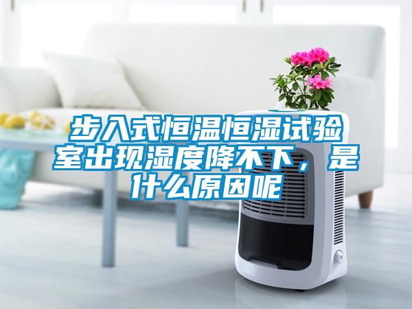步入式恒溫恒濕試驗(yàn)室出現(xiàn)濕度降不下，是什么原因呢