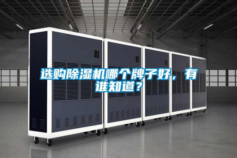 選購除濕機(jī)哪個牌子好，有誰知道？