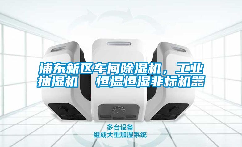 浦東新區(qū)車(chē)間除濕機(jī)，工業(yè)抽濕機(jī)  恒溫恒濕非標(biāo)機(jī)器
