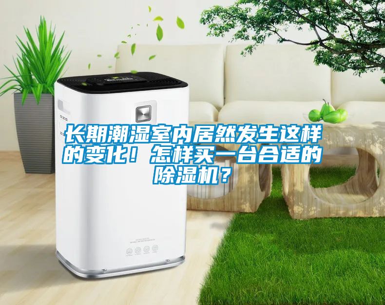 長期潮濕室內(nèi)居然發(fā)生這樣的變化！怎樣買一臺合適的除濕機(jī)？