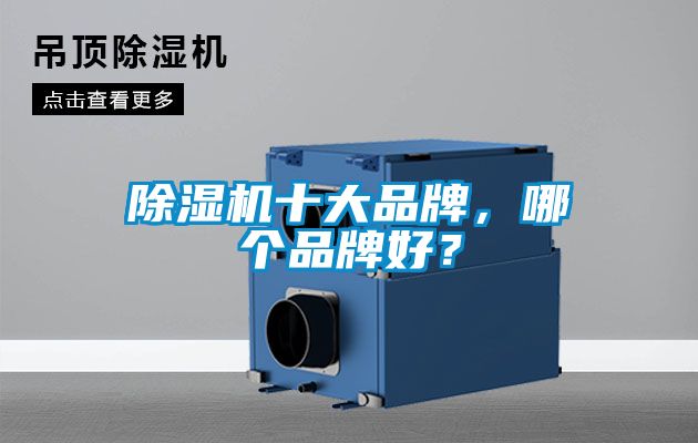 除濕機(jī)十大品牌，哪個(gè)品牌好？
