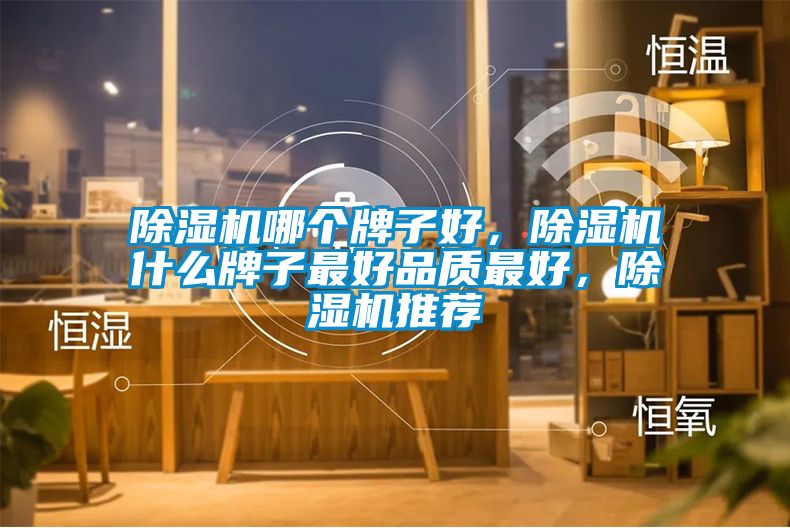 除濕機(jī)哪個(gè)牌子好，除濕機(jī)什么牌子最好品質(zhì)最好，除濕機(jī)推薦