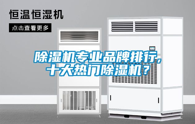 除濕機(jī)專業(yè)品牌排行,十大熱門(mén)除濕機(jī)？