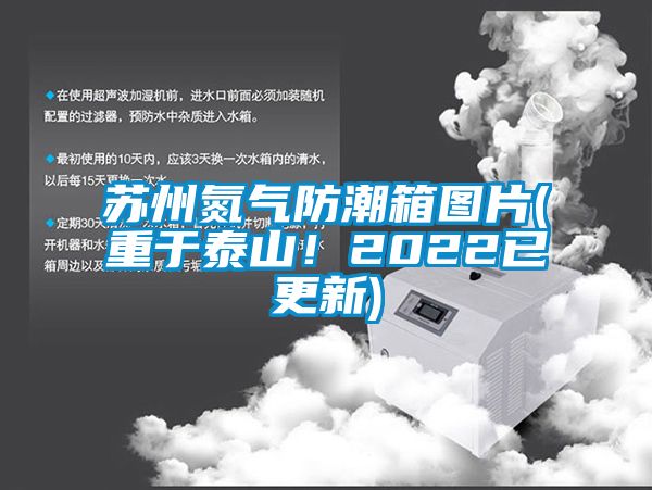 蘇州氮氣防潮箱圖片(重于泰山！2022已更新)