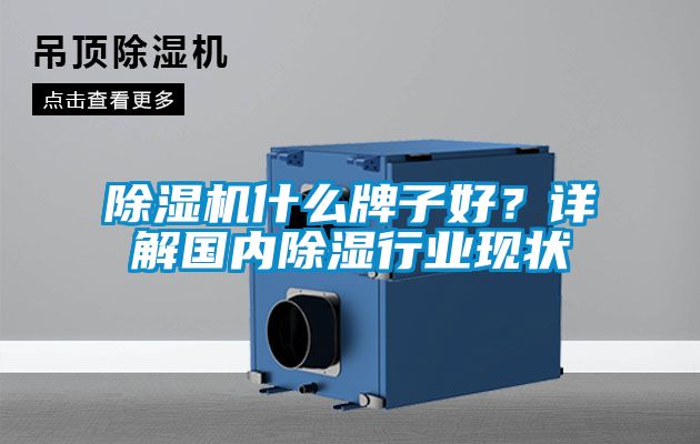 除濕機(jī)什么牌子好？詳解國(guó)內(nèi)除濕行業(yè)現(xiàn)狀