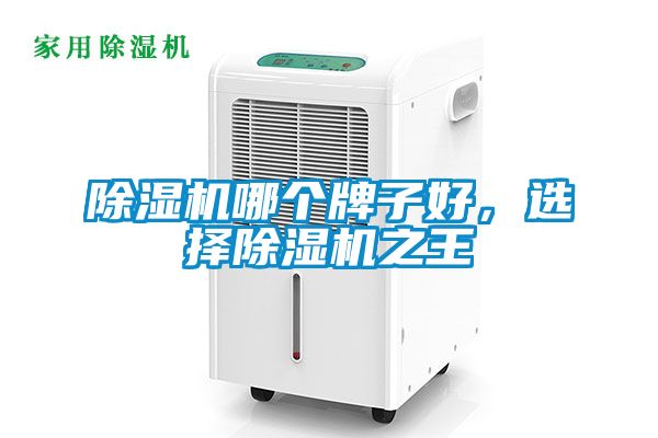 除濕機(jī)哪個(gè)牌子好，選擇除濕機(jī)之王