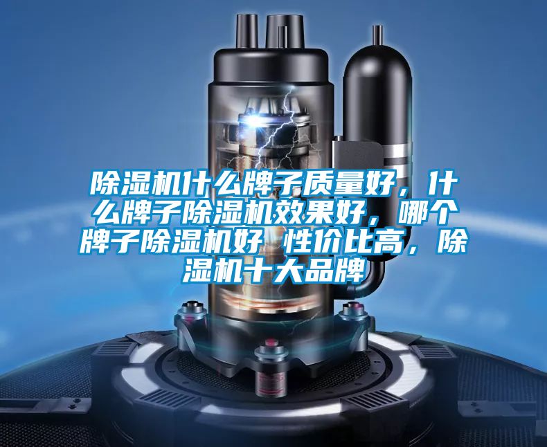 除濕機(jī)什么牌子質(zhì)量好，什么牌子除濕機(jī)效果好，哪個(gè)牌子除濕機(jī)好 性價(jià)比高，除濕機(jī)十大品牌