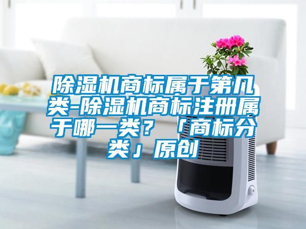 除濕機商標屬于第幾類-除濕機商標注冊屬于哪一類？「商標分類」原創(chuàng)