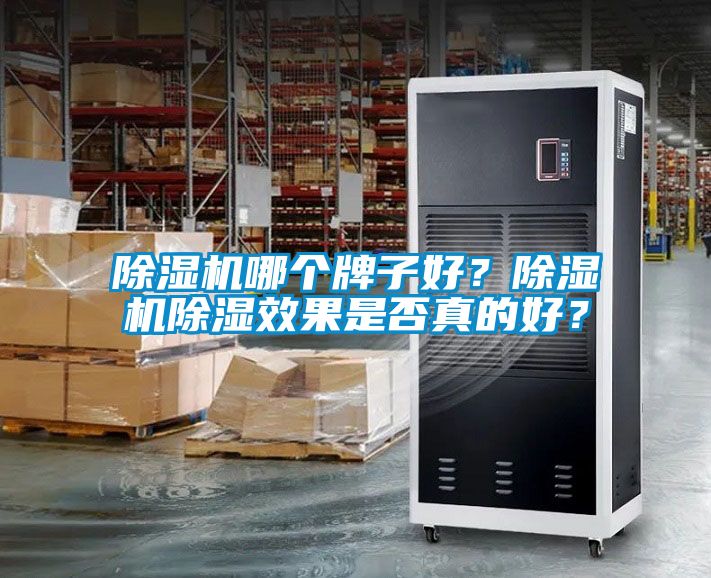 除濕機哪個牌子好？除濕機除濕效果是否真的好？