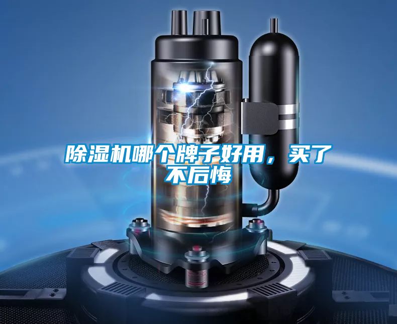 除濕機(jī)哪個牌子好用，買了不后悔