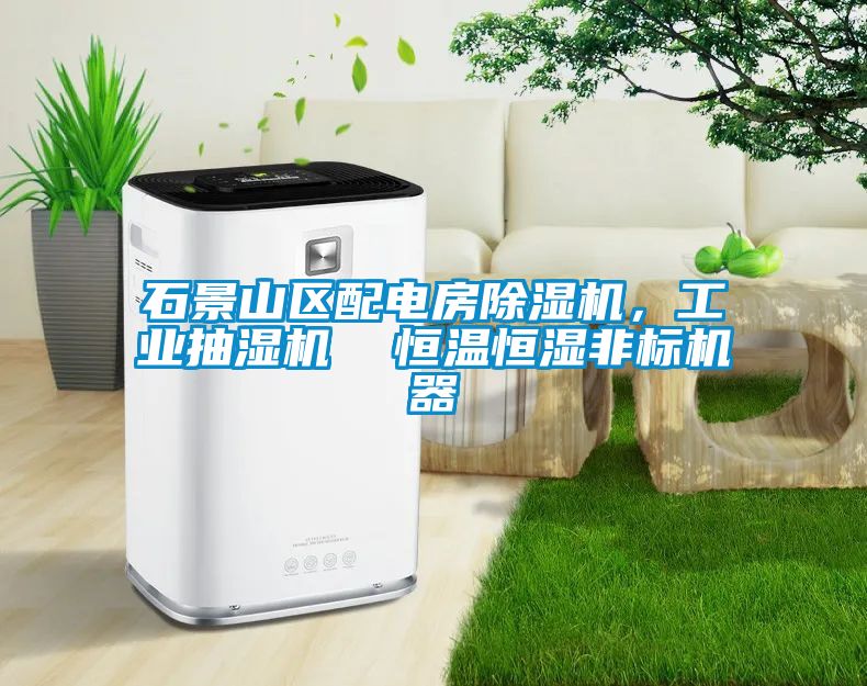 石景山區(qū)配電房除濕機(jī)，工業(yè)抽濕機(jī)  恒溫恒濕非標(biāo)機(jī)器