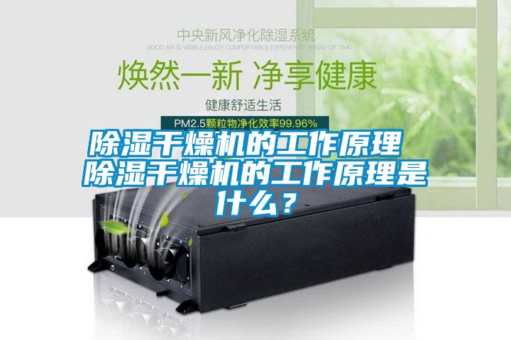 除濕干燥機的工作原理 除濕干燥機的工作原理是什么？