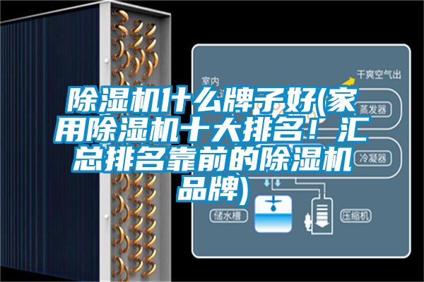 除濕機(jī)什么牌子好(家用除濕機(jī)十大排名！匯總排名靠前的除濕機(jī)品牌)