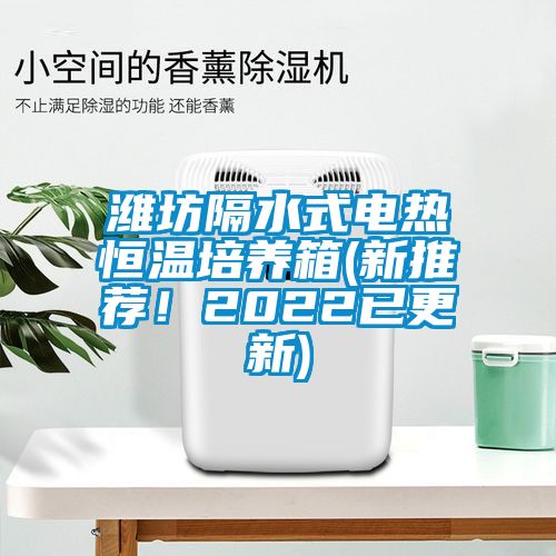 濰坊隔水式電熱恒溫培養(yǎng)箱(新推薦！2022已更新)
