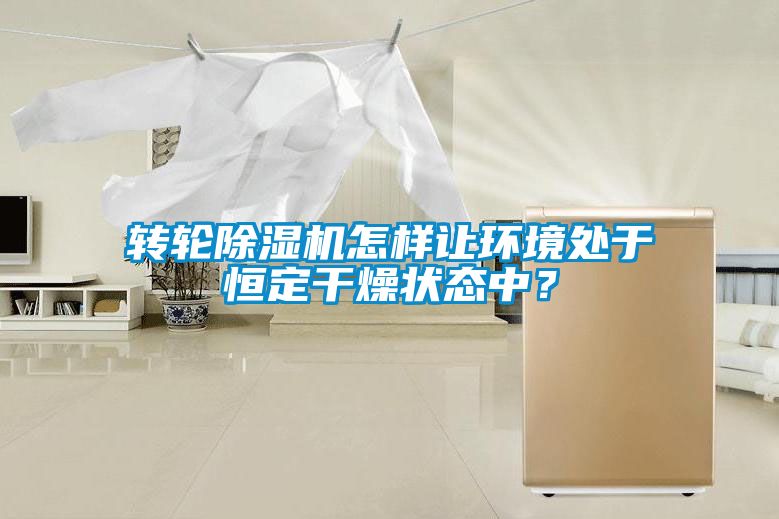 轉輪除濕機怎樣讓環(huán)境處于恒定干燥狀態(tài)中？