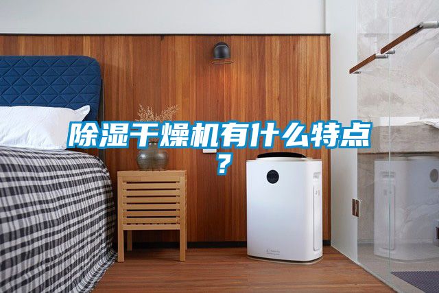 除濕干燥機(jī)有什么特點(diǎn)？