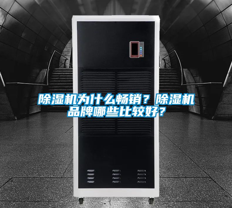 除濕機(jī)為什么暢銷(xiāo)？除濕機(jī)品牌哪些比較好？