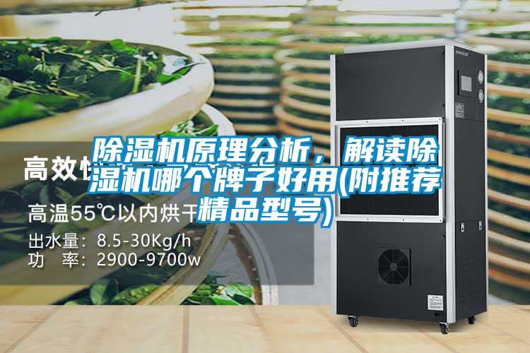 除濕機(jī)原理分析，解讀除濕機(jī)哪個牌子好用(附推薦精品型號)