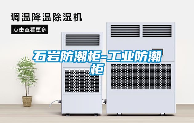 石巖防潮柜-工業(yè)防潮柜