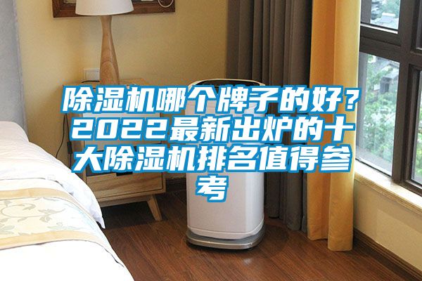除濕機(jī)哪個(gè)牌子的好？2022最新出爐的十大除濕機(jī)排名值得參考