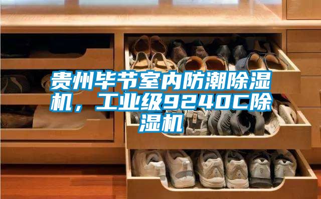 貴州畢節(jié)室內(nèi)防潮除濕機(jī)，工業(yè)級(jí)9240C除濕機(jī)