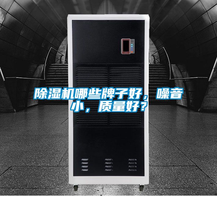 除濕機哪些牌子好，噪音小，質(zhì)量好？