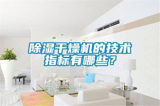 除濕干燥機(jī)的技術(shù)指標(biāo)有哪些？