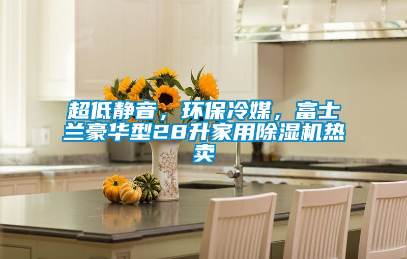 超低靜音，環(huán)保冷媒，富士蘭豪華型28升家用除濕機(jī)熱賣(mài)