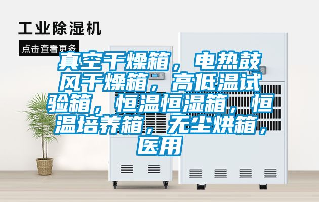 真空干燥箱，電熱鼓風(fēng)干燥箱，高低溫試驗(yàn)箱，恒溫恒濕箱，恒溫培養(yǎng)箱，無(wú)塵烘箱，醫(yī)用