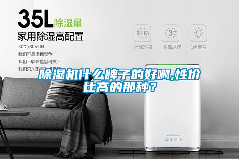 除濕機(jī)什么牌子的好啊,性?xún)r(jià)比高的那種？