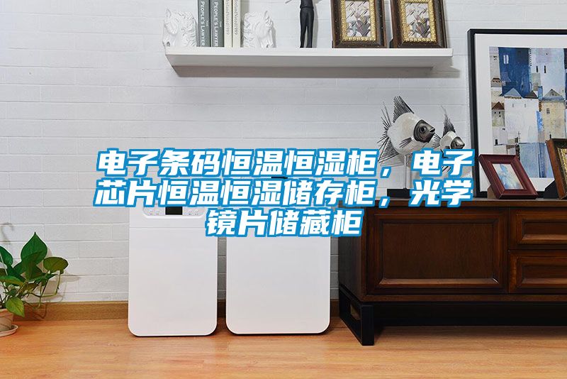 電子條碼恒溫恒濕柜，電子芯片恒溫恒濕儲存柜，光學(xué)鏡片儲藏柜