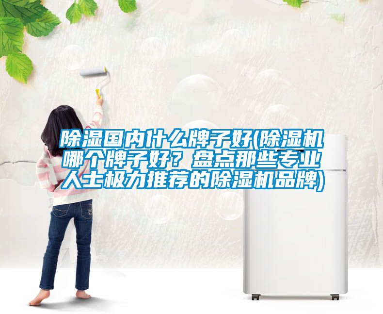 除濕國(guó)內(nèi)什么牌子好(除濕機(jī)哪個(gè)牌子好？盤(pán)點(diǎn)那些專業(yè)人士極力推薦的除濕機(jī)品牌)