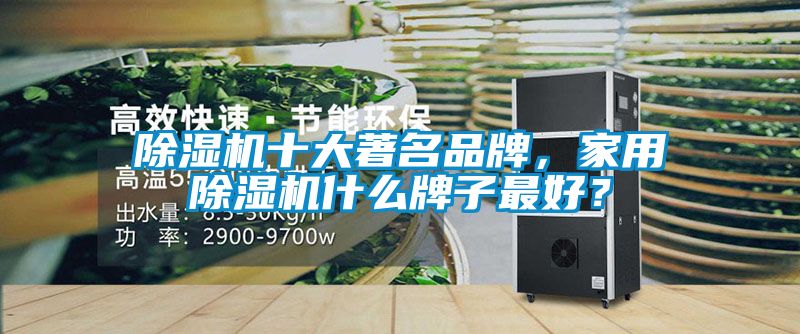 除濕機(jī)十大著名品牌，家用除濕機(jī)什么牌子最好？