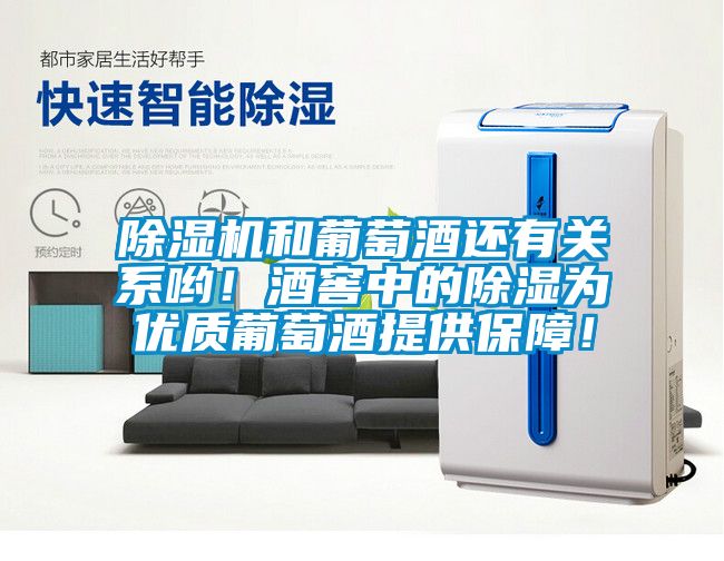 除濕機和葡萄酒還有關(guān)系喲！酒窖中的除濕為優(yōu)質(zhì)葡萄酒提供保障！