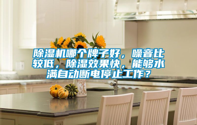 除濕機(jī)哪個(gè)牌子好，噪音比較低，除濕效果快，能夠水滿自動斷電停止工作？
