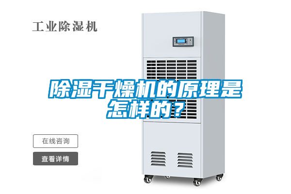除濕干燥機(jī)的原理是怎樣的？