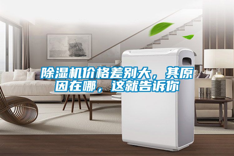 除濕機價格差別大，其原因在哪，這就告訴你