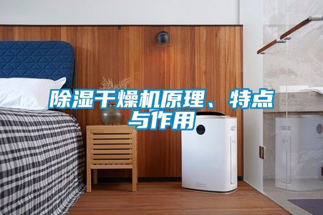 除濕干燥機(jī)原理、特點(diǎn)與作用