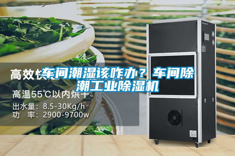 車(chē)間潮濕該咋辦？車(chē)間除潮工業(yè)除濕機(jī)