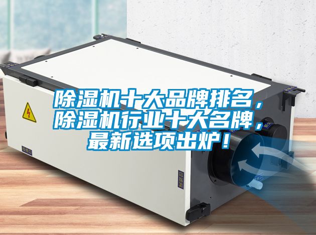 除濕機(jī)十大品牌排名，除濕機(jī)行業(yè)十大名牌，最新選項(xiàng)出爐！