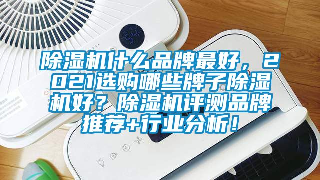 除濕機(jī)什么品牌最好，2021選購哪些牌子除濕機(jī)好？除濕機(jī)評測品牌推薦+行業(yè)分析！