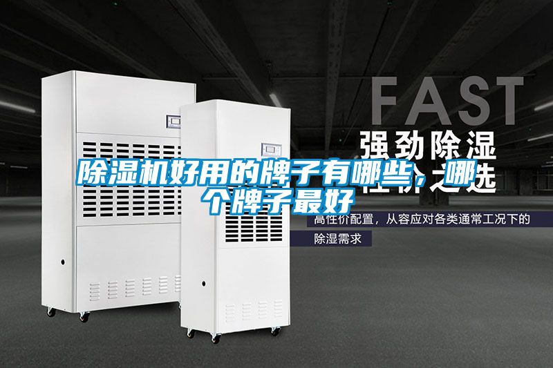除濕機好用的牌子有哪些，哪個牌子最好