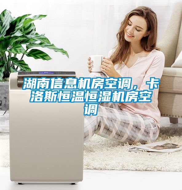 湖南信息機(jī)房空調(diào)，卡洛斯恒溫恒濕機(jī)房空調(diào)