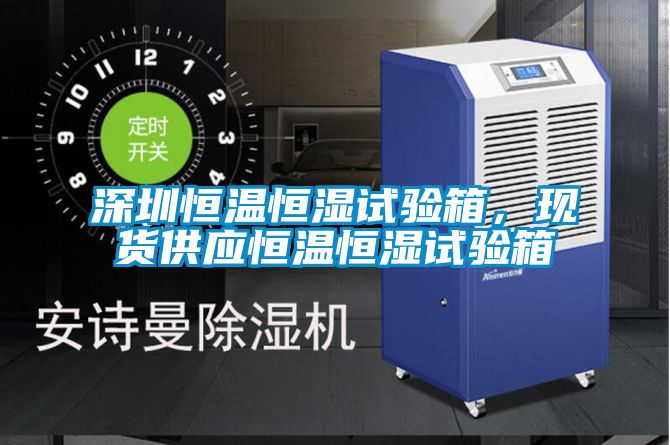 深圳恒溫恒濕試驗(yàn)箱，現(xiàn)貨供應(yīng)恒溫恒濕試驗(yàn)箱