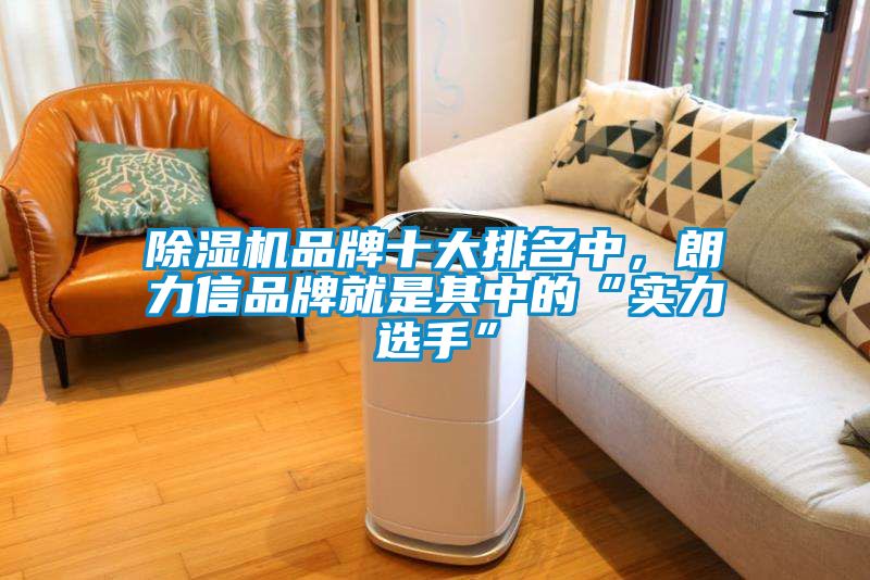 除濕機(jī)品牌十大排名中，朗力信品牌就是其中的“實(shí)力選手”