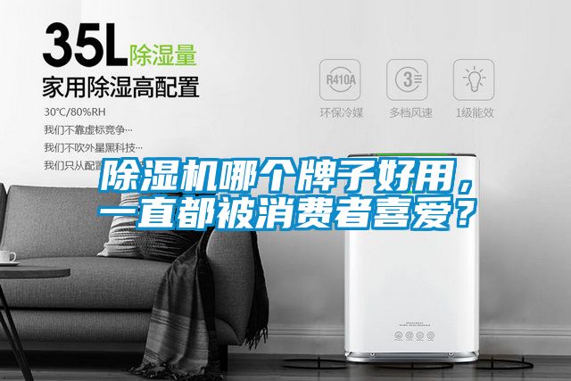 除濕機(jī)哪個牌子好用，一直都被消費者喜愛？