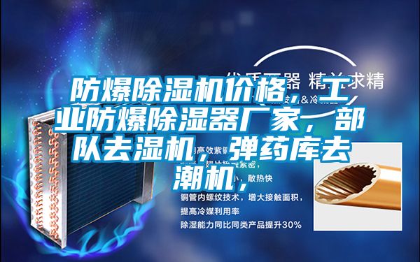 防爆除濕機(jī)價格，工業(yè)防爆除濕器廠家，部隊(duì)去濕機(jī)，彈藥庫去潮機(jī)，