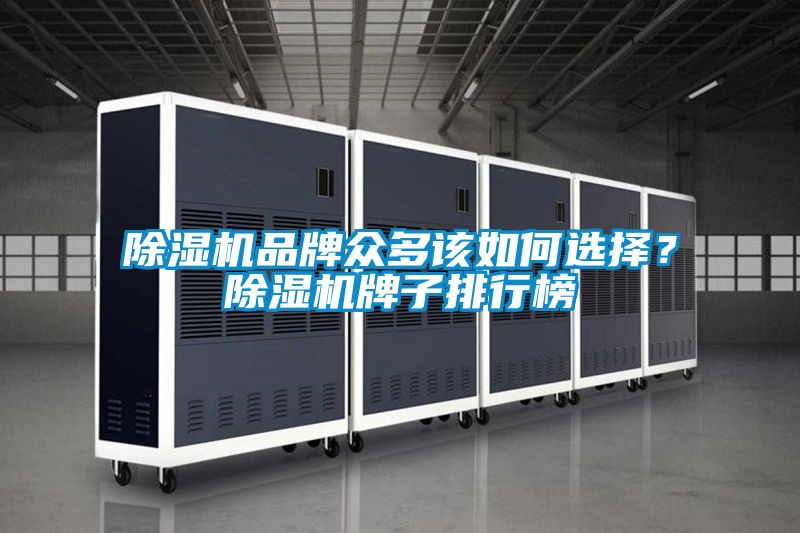 除濕機(jī)品牌眾多該如何選擇？除濕機(jī)牌子排行榜