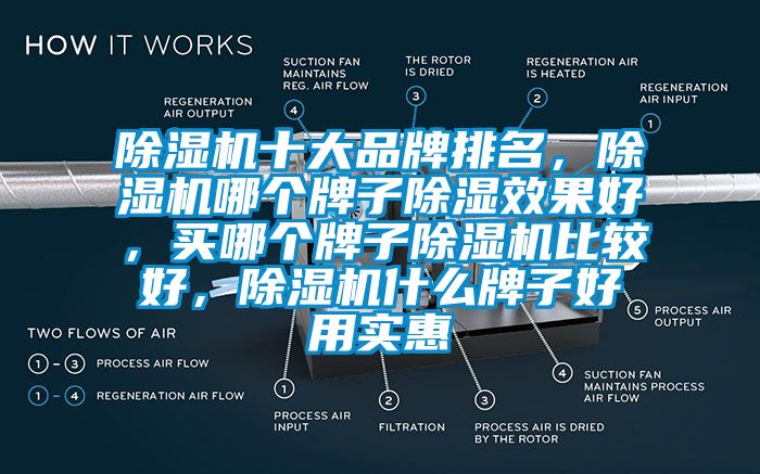 除濕機(jī)十大品牌排名，除濕機(jī)哪個(gè)牌子除濕效果好，買(mǎi)哪個(gè)牌子除濕機(jī)比較好，除濕機(jī)什么牌子好用實(shí)惠